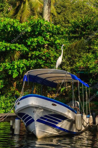 Photographer on a small boat drifting through calm Okavango waters at sunrise