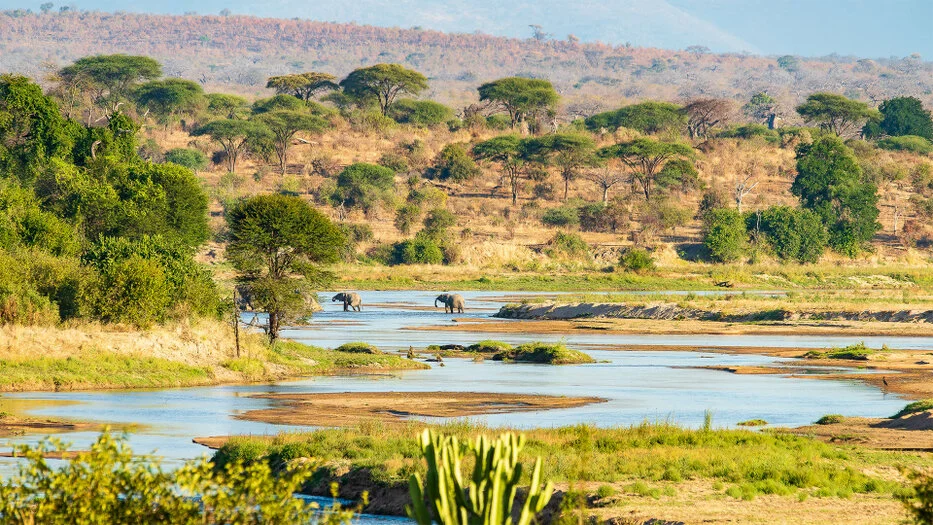 Great Ruaha River landscape with elephants, dry hills and open savannah in Ruaha National Park Tanzania