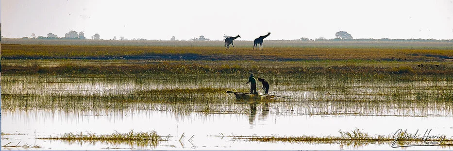 Chobe River floodplain with fishermen and distant giraffes and reflections in Botswana