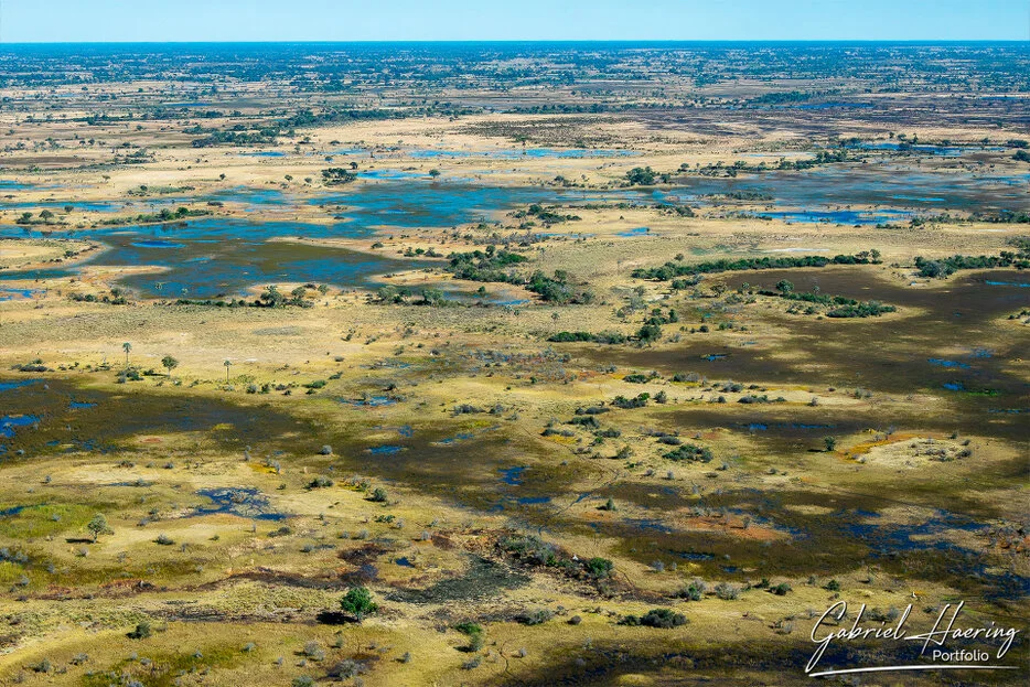 Aerial view of the Okavango Delta wetlands with channels, floodplains and islands in Botswana