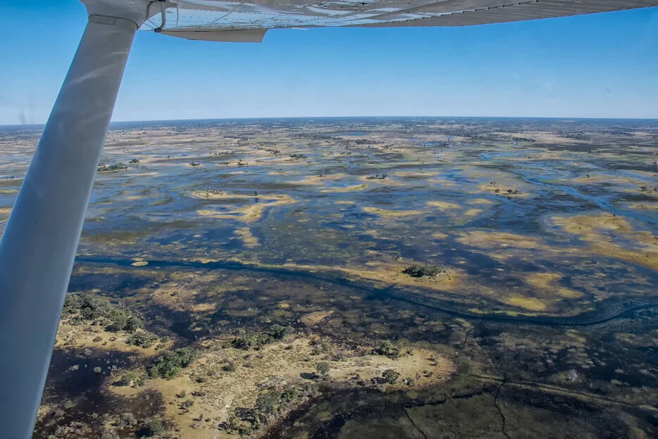 Aerial view from a small aircraft over the Okavango Delta floodplains in Botswana