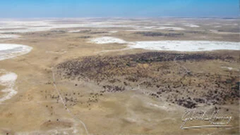 portfolio_grid.webp<br />Aerial view of the Makgadikgadi Pans in Botswana with white salt flats and vast dry wilderness