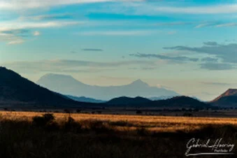 Mkomazi National Park landscape with distant mountains and golden savannah light, Tanzania wildlife photography