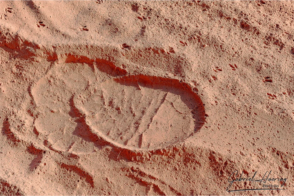 Fresh elephant footprint in red desert sand in Damaraland, Namibia