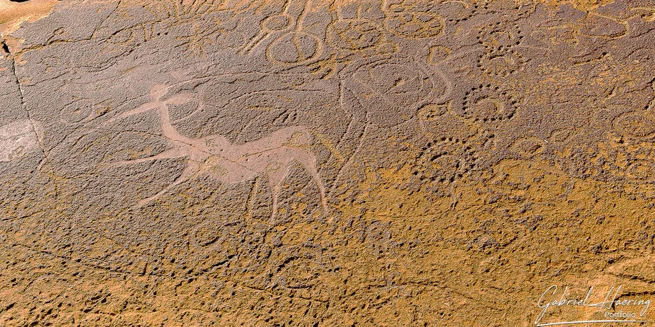 Ancient rock engraving of an animal figure on stone at Twyfelfontein in Damaraland, Namibia
