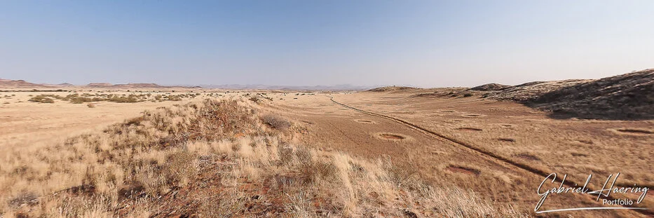 Open desert plain with dry grasses, fairy circles, tracks and distant hills in Damaraland, Namibia