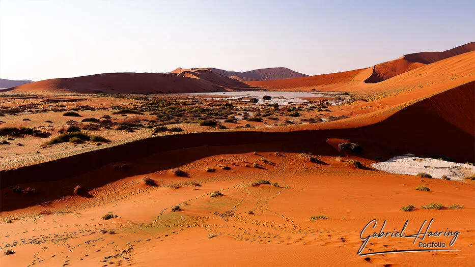 Red dunes and temporary water near Sossusvlei in the Namib Desert, Namibia