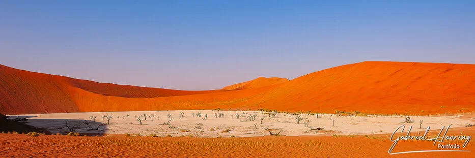 Panoramic view of Deadvlei with white clay pan and orange dunes in Namibia