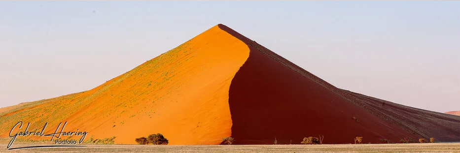 Sculptural red dune with strong light and shadow in the Namib-Naukluft desert of Namibia