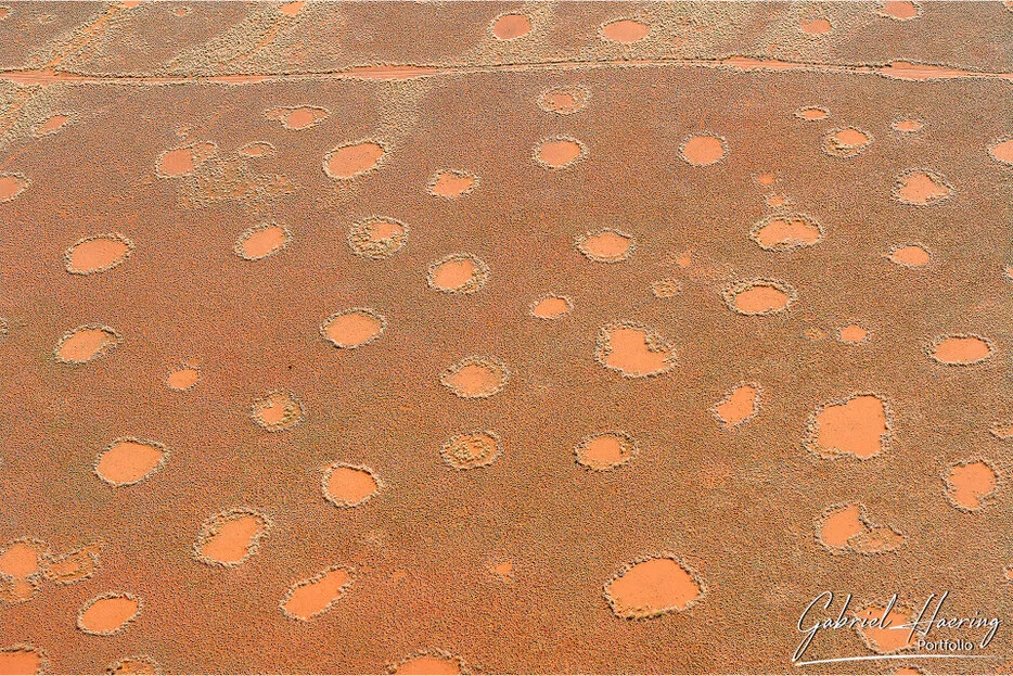 Fairy circles forming natural round patterns in the desert grasslands of Namib-Naukluft, Namibia