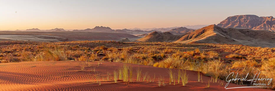 Panoramic Namib-Naukluft desert landscape with red sand, grasses, mountains and warm evening light