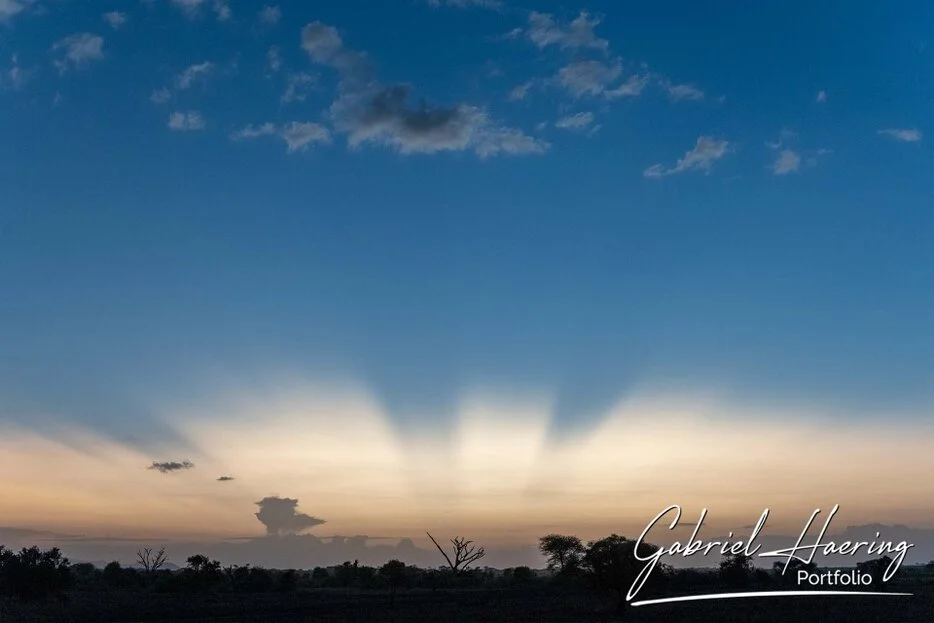 Dramatic sunset rays over the Amboseli landscape with silhouetted trees and a wide blue sky